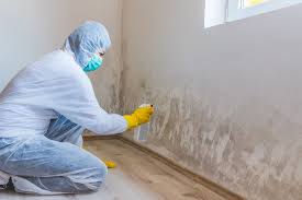 Trusted Columbia, CA Mold Removal Services Experts