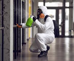 Mold Remediation for Rental Properties in Columbia, CA